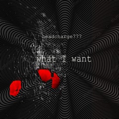 What I Want
