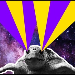 Everybody - Electric Turtles (Mix, 2017)