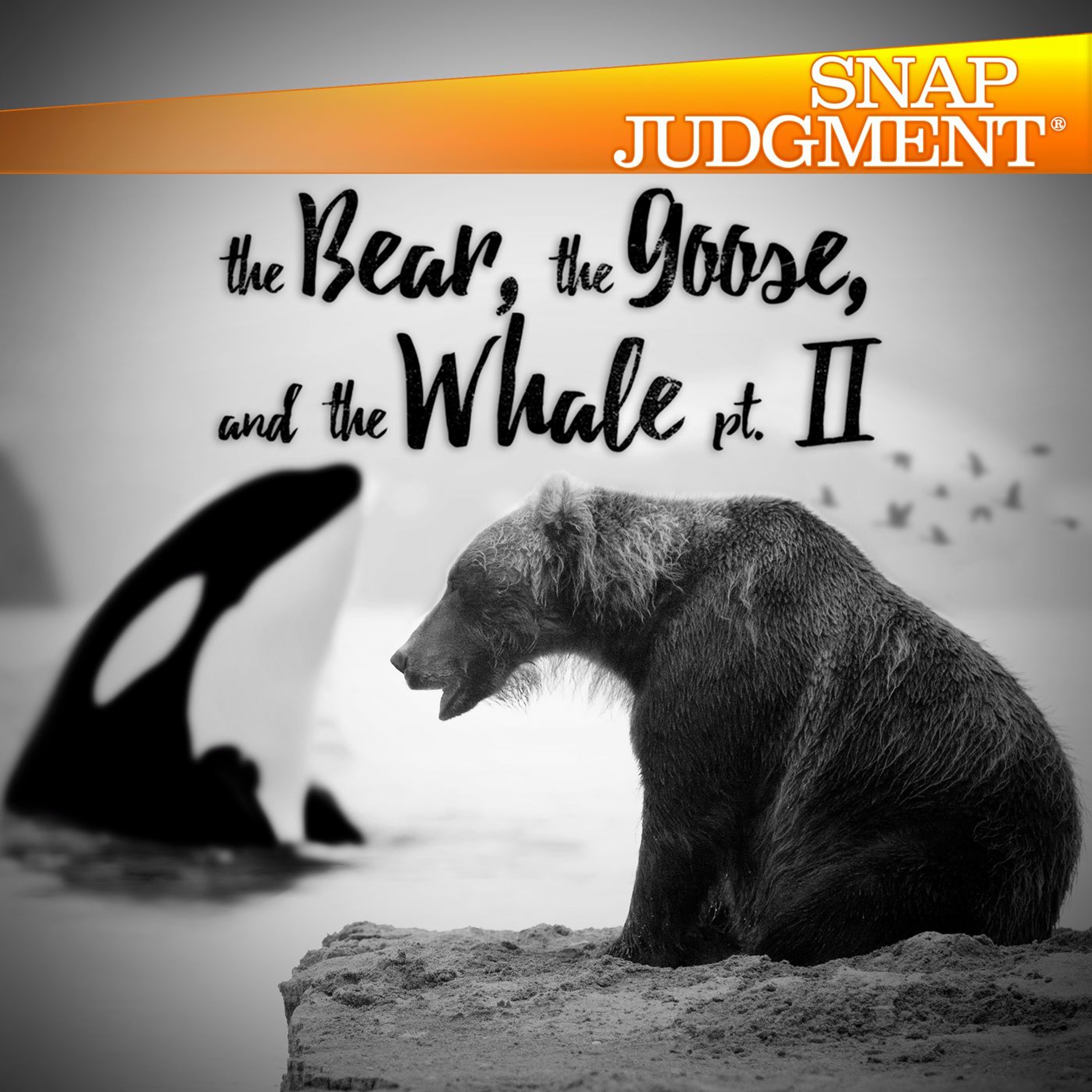Goose Justice / Snap Judgment, "The Bear, The Goose and The Whale (Part 2)"