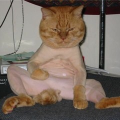 Brazilian Wax - Plain LOCO (UNSIGNED PREVIEW)