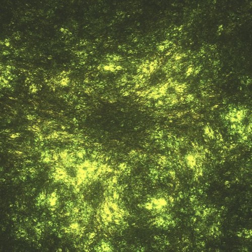 Toby Fox - Patient (Electronic Remix)