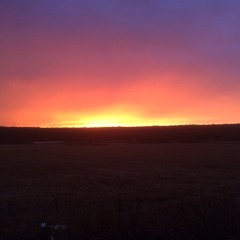 Kim and Donald  a song of love and hate