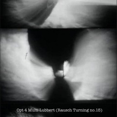 Opt 4 Multi Lubbert (Side B)