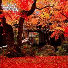 Autumn Dusk for String Quartet