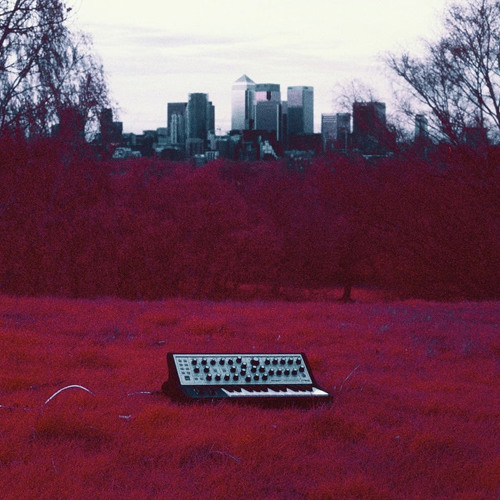 Hanna - Twombleys Glen