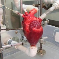 subtlety is not my specialty??? (instrumental)