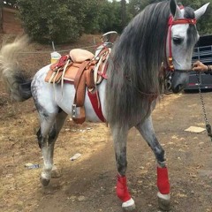 Mi vida eres tu- Virlan Garcia 2017