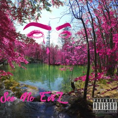 See No Evil Ft. Mateo The Artisan