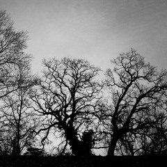 dark low moody  witchhouse futuregarage