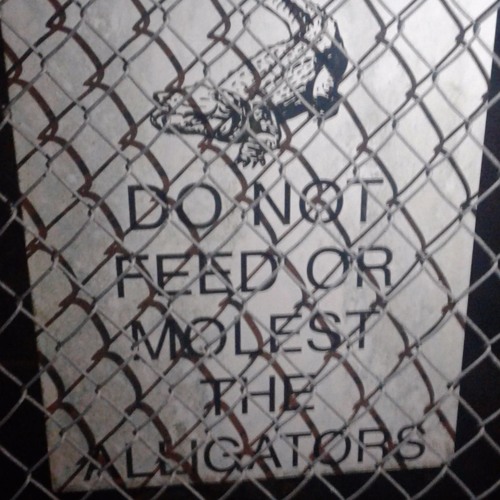 Do Not Feed Or Molest The Alligators