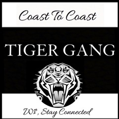 BELIEVER-TriggaTiger ft CincoTiger