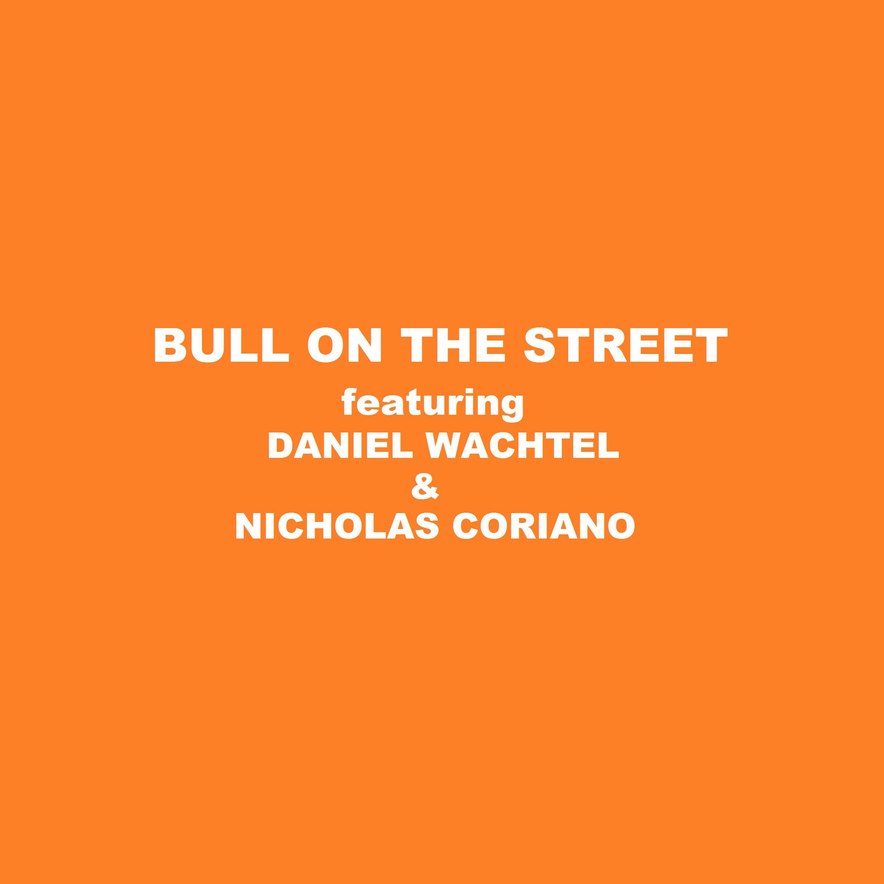 Bull On The Street