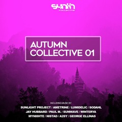 Synth Collective