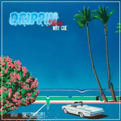 ’Drippin’ (prod. roswell gray)