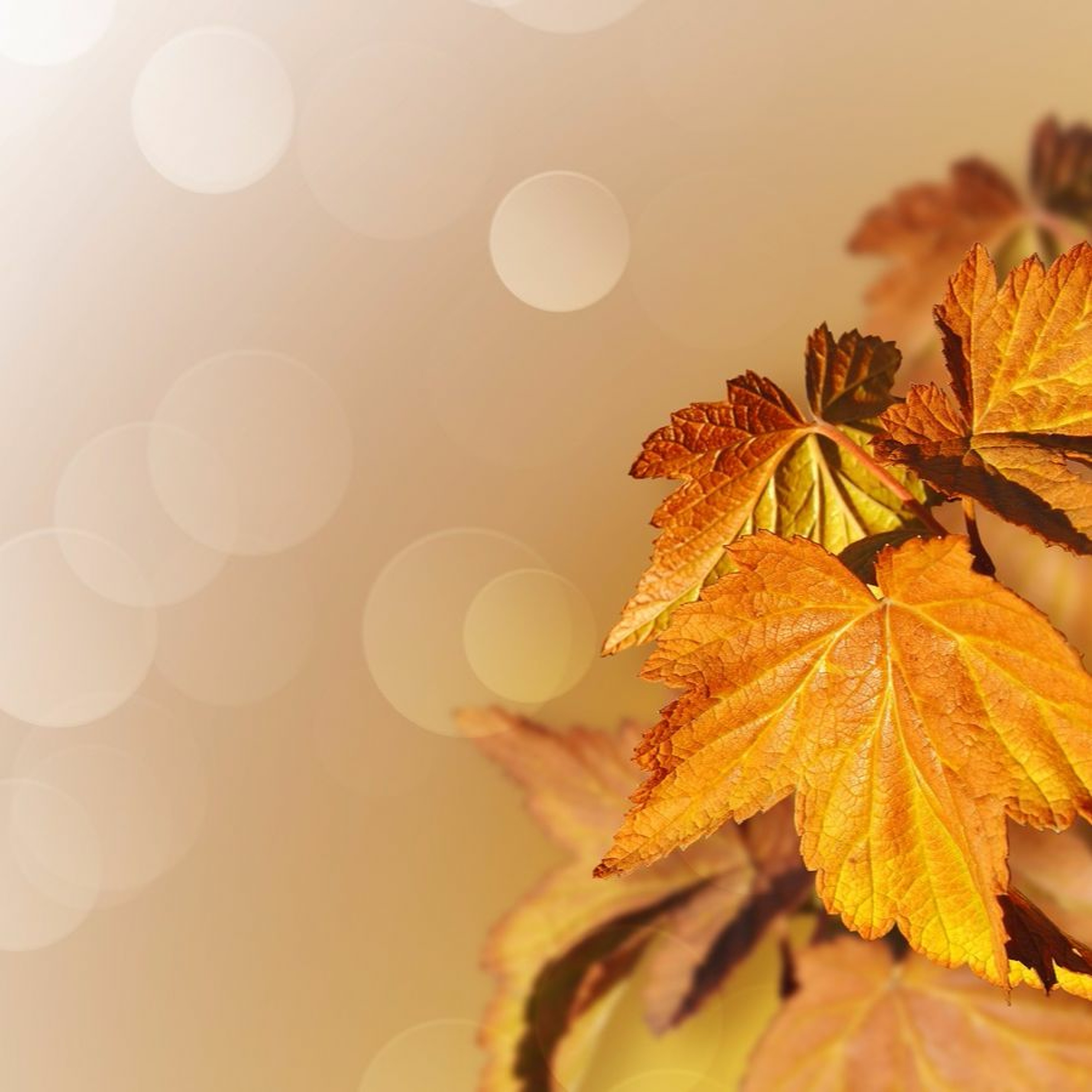 Transforming problems and increasing joy 4