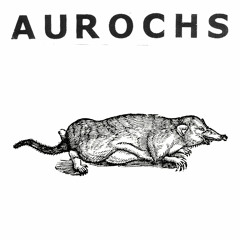 Aurochs - All Those Opposed Mastered