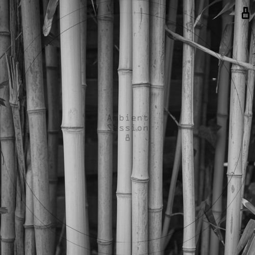 Ambient Session 08