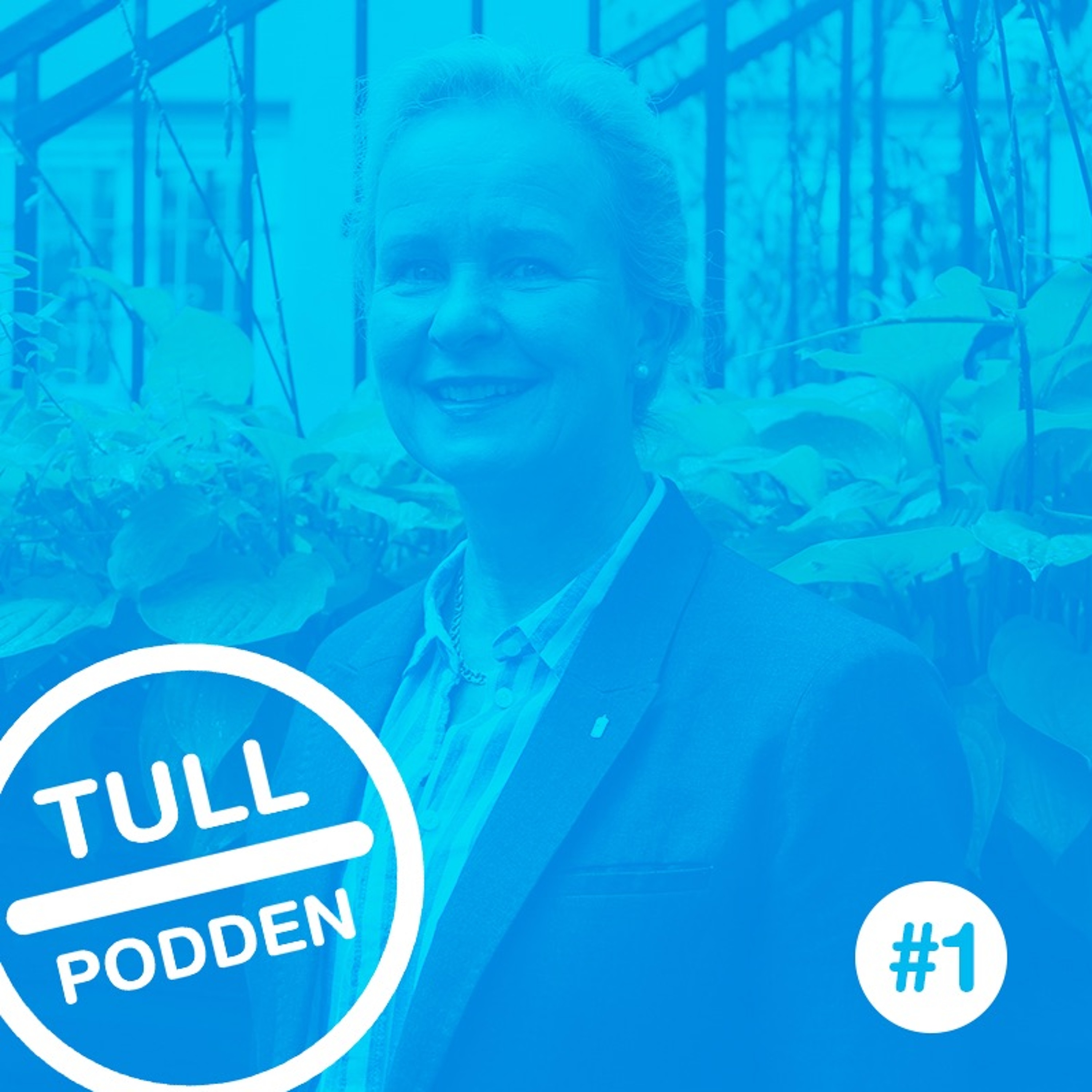 Tullpodden