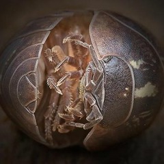 Me&I:AStruggleAFight (ExperimentalCircuitKaossSequenceHop)