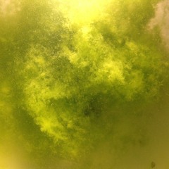 In Out (Minimalsoul Recordings MSR16)