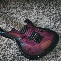 Harley Benton FanFret-7 TPB 2017 DLX (Raw DI Track)