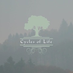 Estas Tonne - Cycles Of Life