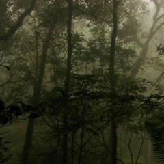 Mix #3 From Oldschooldnb to Jungle (100% Vinyl)