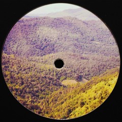 MMC004 A2. Birdsmakingmachine - Stormy Veder (Snippet)