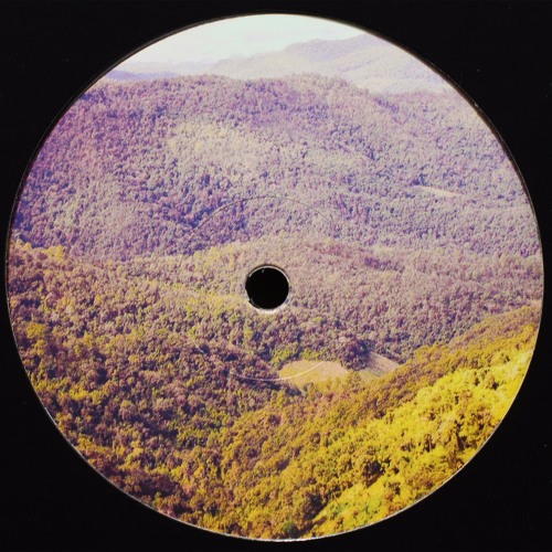 MMC004 A2. Birdsmakingmachine - Stormy Veder (Snippet)