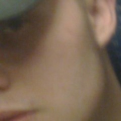 `·. 777DAMHAIBBFL333I1000 (V1) `·. ©®™