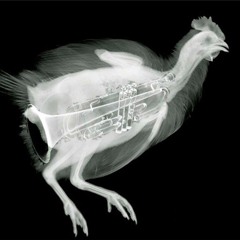 Chickensh1t