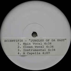 Beattape coming soon (Scientifik Raw Remix)
