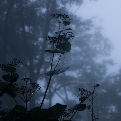 new page