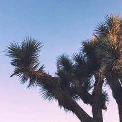 Summer Love Never Lasts