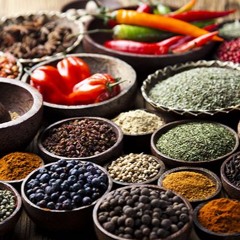Spice #1