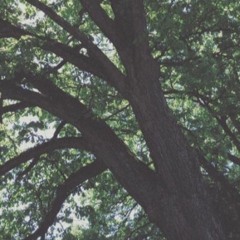 Lovesick Boys - Conan Gray