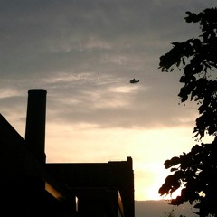 Without You (David Guetta Cover)