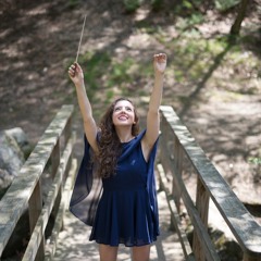 The Romantic Roller-Coaster - Orchestral