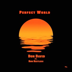 Perfect World (ft. Ron Restless)