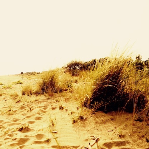 feel you again next year