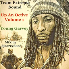 Team Extreme Sound - Up An Active Volume 1 - YOUNG GARVEY - Mix By DJ Corey Don 2017