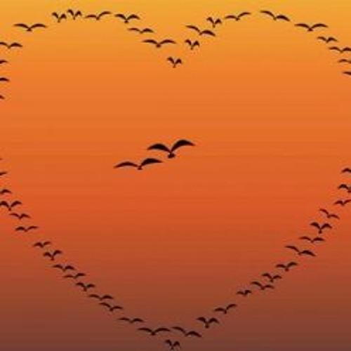 Name Of Love Ft. Docta Strange x T Lae x Simba x Wild Buddah (Prod. Docta Strange)