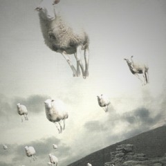 sheep (prod.WVRLDEATVR)