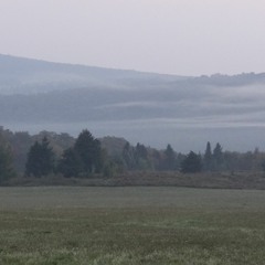 Tombe l'automne -  Let Autumn Fall