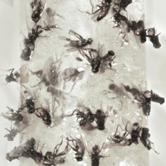 Qu'est-ce qu'on est serré