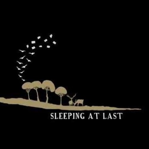 Sleeping At Last - Learning Curve