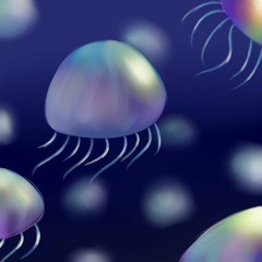 moonlight jellies