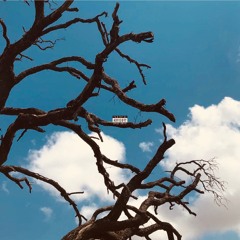 I DON'T KNOW MYSELF.