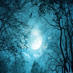 Winter's Moon