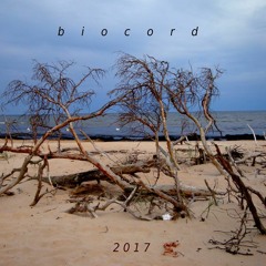 N.Bykov  - Wind can not be silent / Climate goodbye /